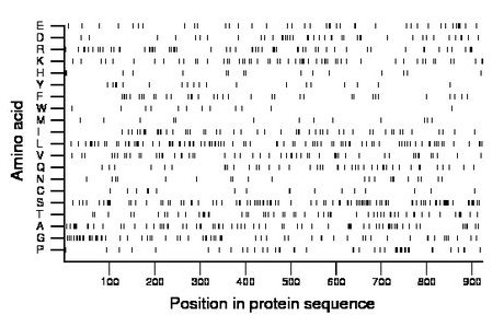 amino acid map