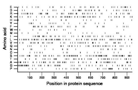 amino acid map