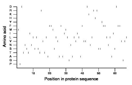 amino acid map