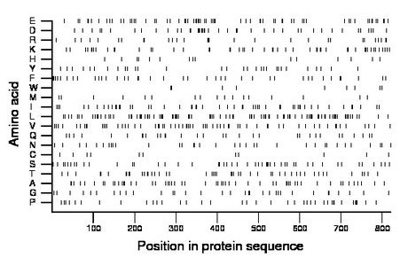 amino acid map