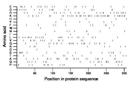 amino acid map