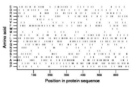 amino acid map