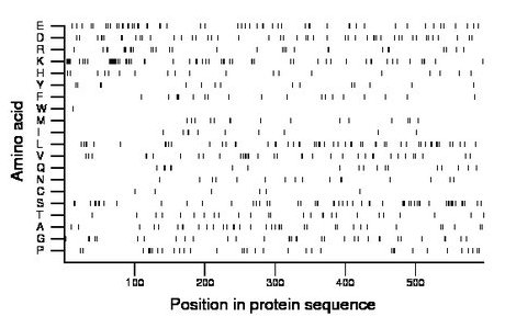 amino acid map