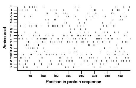 amino acid map