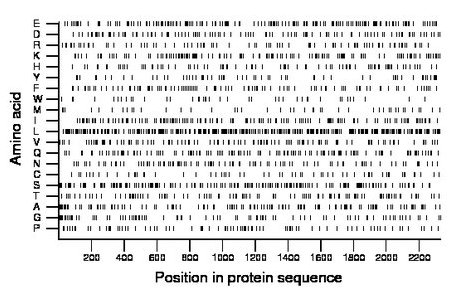 amino acid map