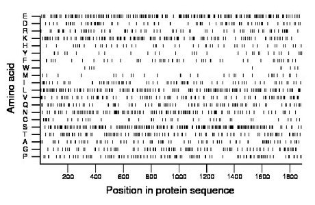 amino acid map