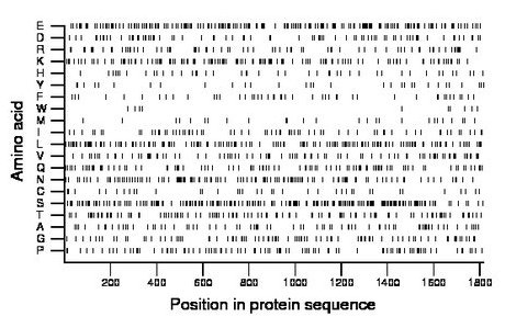 amino acid map