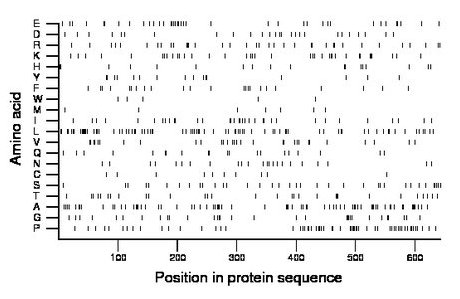 amino acid map