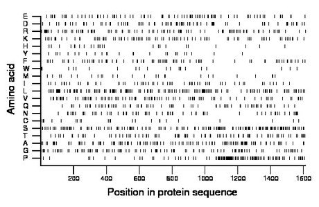 amino acid map