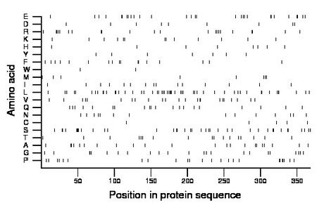 amino acid map