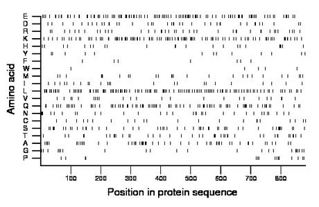 amino acid map