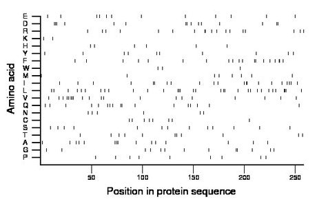 amino acid map