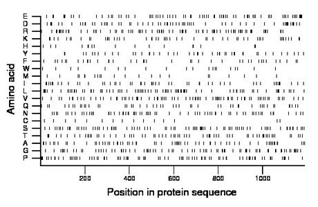 amino acid map