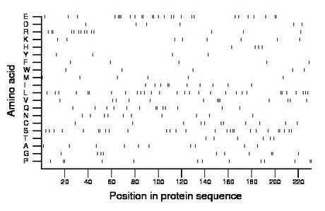 amino acid map