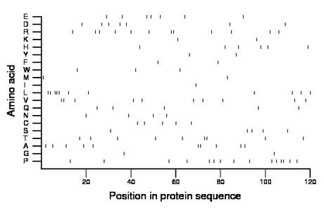 amino acid map