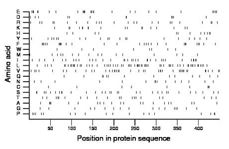 amino acid map