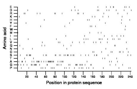 amino acid map