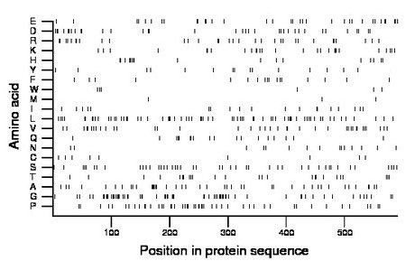 amino acid map