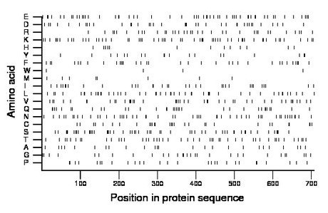 amino acid map