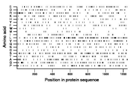 amino acid map