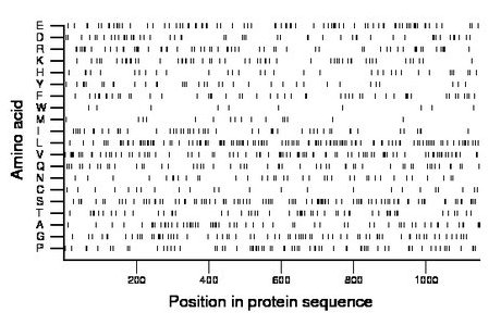 amino acid map