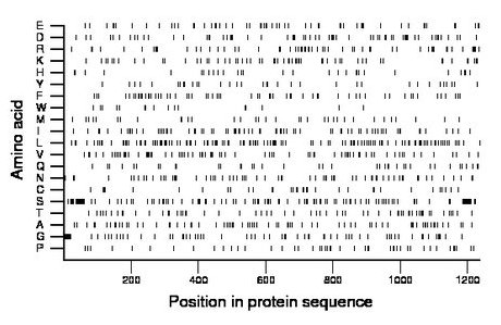 amino acid map