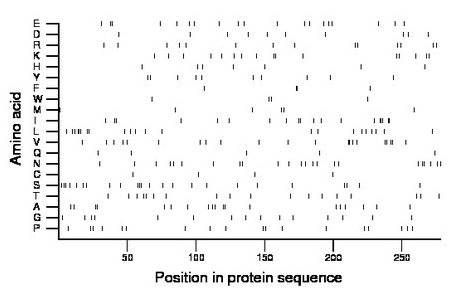 amino acid map