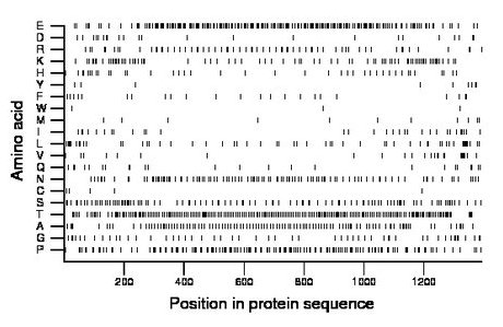 amino acid map