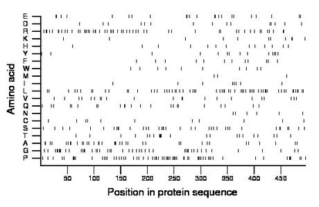 amino acid map