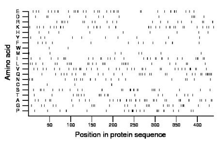 amino acid map