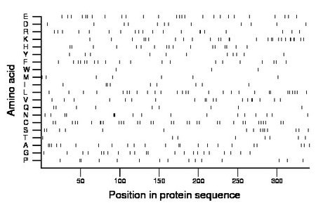 amino acid map