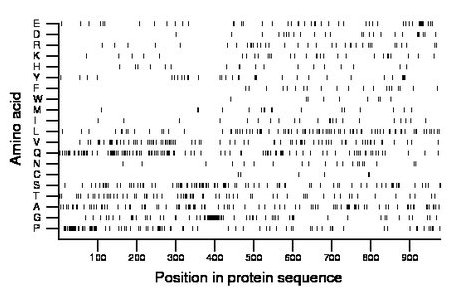 amino acid map