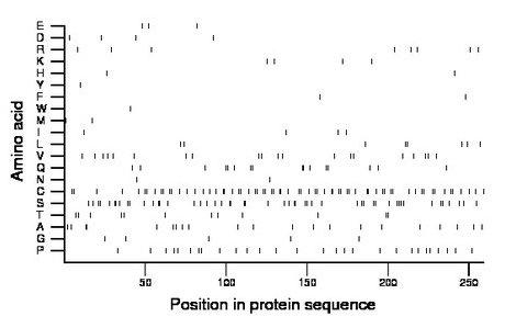 amino acid map