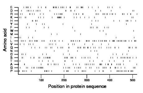 amino acid map