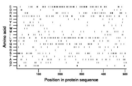 amino acid map