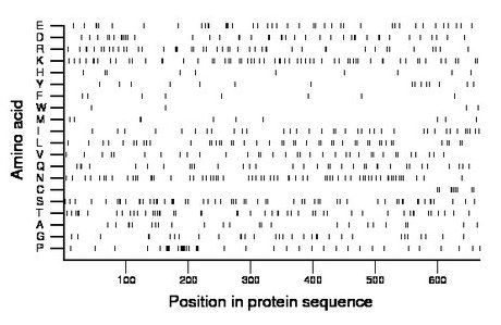 amino acid map