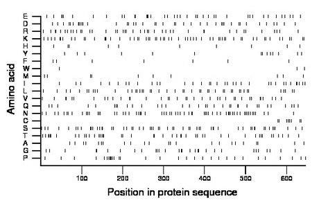 amino acid map