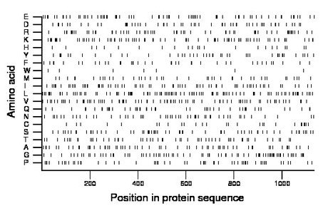 amino acid map