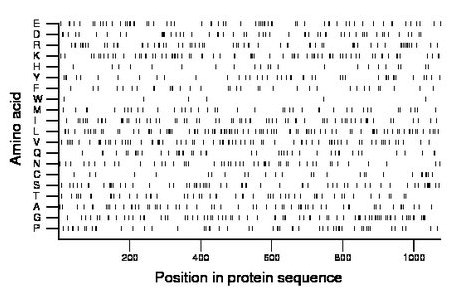 amino acid map