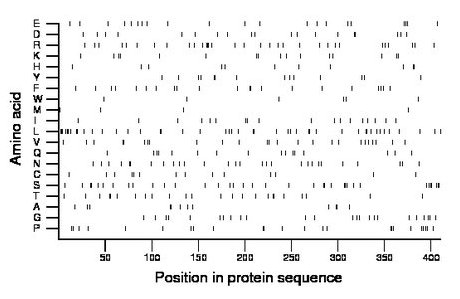 amino acid map