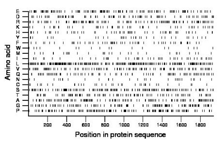 amino acid map