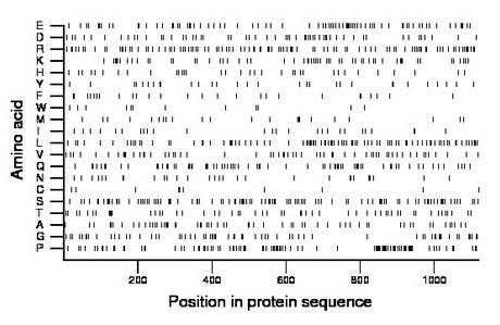 amino acid map