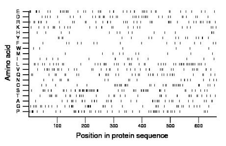 amino acid map