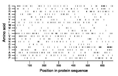 amino acid map