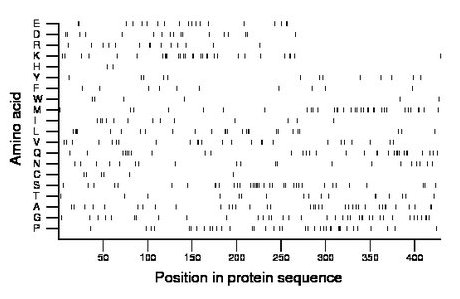 amino acid map