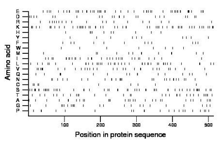 amino acid map