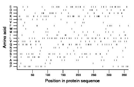 amino acid map