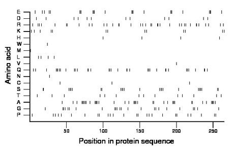 amino acid map