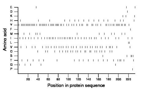 amino acid map