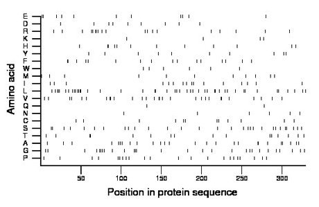 amino acid map